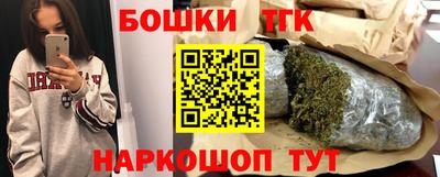 индика Гатчина