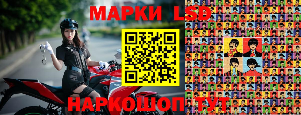 Марки N-bome 1500мкг  где можно купить   Долгопрудный  Вход с VPN 