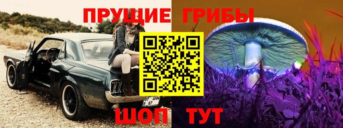 Галлюциногенные грибы GOLDEN TEACHER Долгопрудный