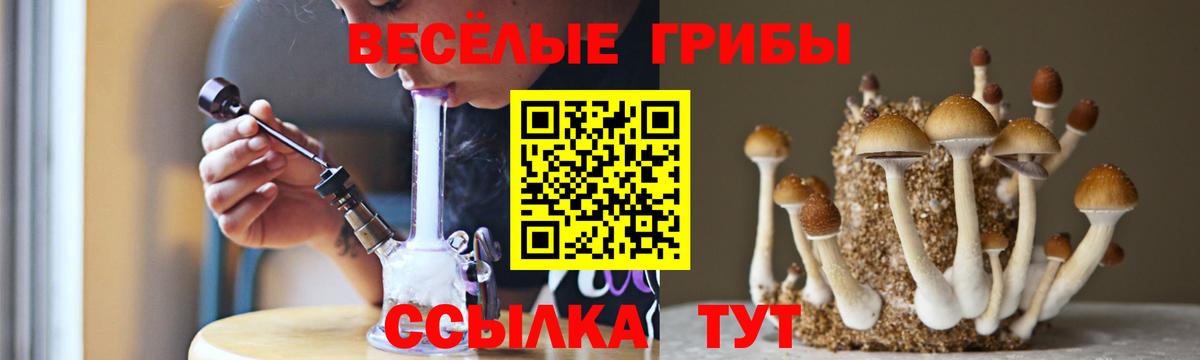 Долгопрудный  Псилоцибиновые грибы MAGIC MUSHROOMS  Вход с VPN 